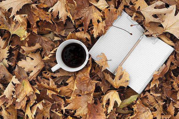 秋天叶子杯咖啡笔记本户外