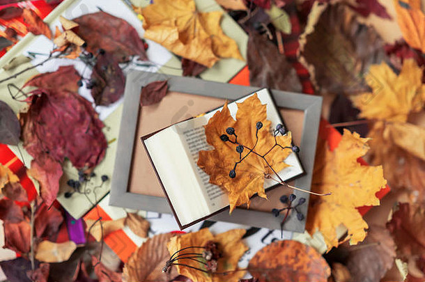 开放书木框架特写镜头前视图阳光明媚的秋天一天秋天背景色彩斑斓的叶子浪漫的情绪概念回来学校教育
