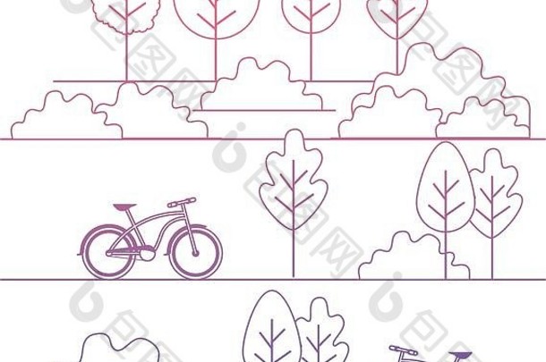 森林景观自行车场景