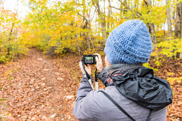 年轻的女人采取图片相机徒步旅行小道色彩斑斓的橙色树叶秋天秋天森林下降干叶子路径西