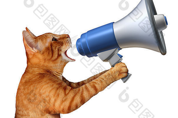 猫公告概念通用的猫持有扩音器扩音器宣布新闻促进宠物兽医问题动物市场营销促销活动孤立的白色背景
