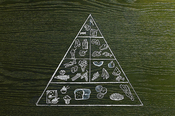 行画图像自然木粮食背景食物金字塔选择食物组