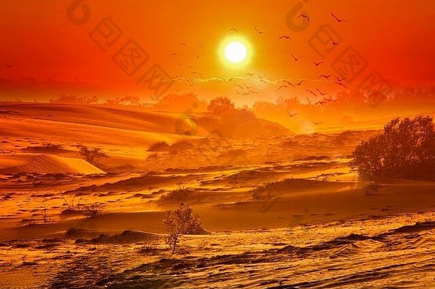 自然背景沙漠景观摩洛哥北非洲沙子沙丘撒哈拉沙漠美丽的黄金日落