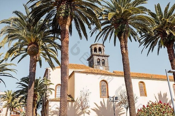 街视图教堂塔美丽棕榈树拉古纳城市阳光明媚的一天旅行西班牙语城市tenerife岛