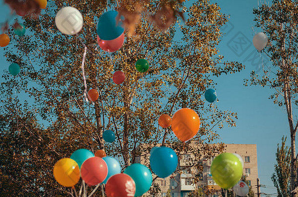 气球前面树