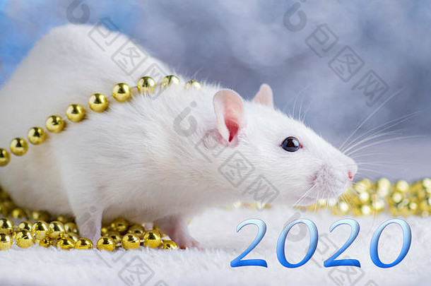 快乐一年!象征一年白色金属银老鼠可爱的老鼠圣诞节装饰