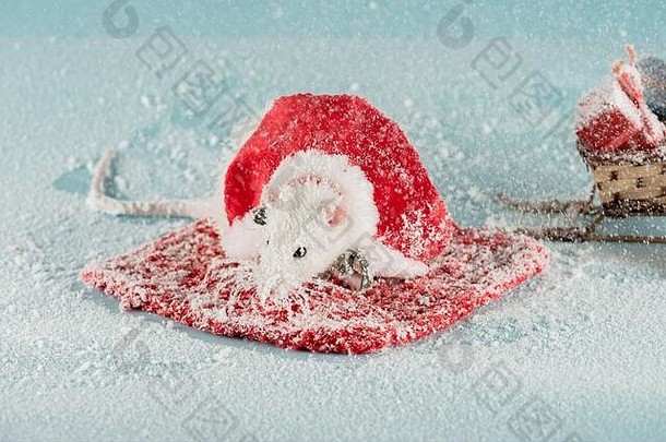 老鼠服装柳条雪橇礼物盒子一年