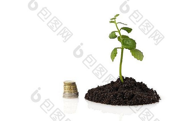 钱树日益增长的经济经济低迷概念投资增长日益增长的树