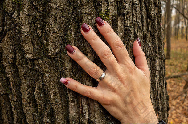 女人手树树干概念保存环境团结自然特写镜头图像棕榈触碰树皮生态活跃的生活方式