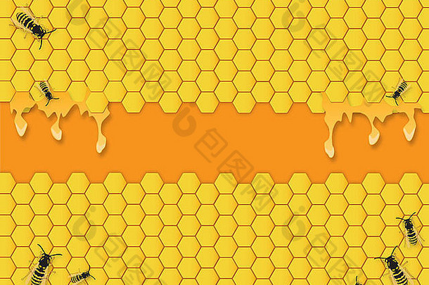 蜜蜂蜂巢背景蜂蜜