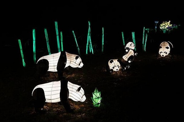 华沙波兰12月巨大的熊猫熊中国人光节日传统的中国人<strong>文化展</strong>览晚上堡讲坛