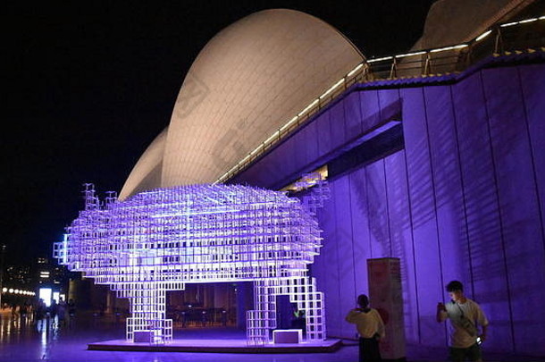 悉尼澳大利亚2月更大的生活灯笼形状猪中国人星座动物圆形旋转庆祝中国人月球