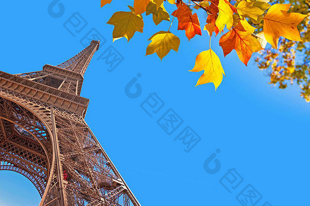 埃菲尔铁塔塔秋天的叶子巴黎法国