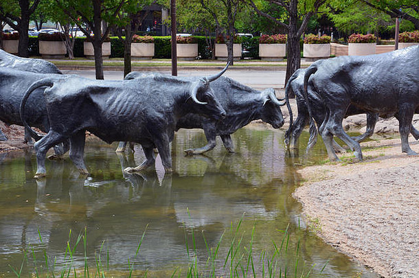 多个青铜雕像形式部分西牛开车雕塑先锋广场市中心达拉斯德州