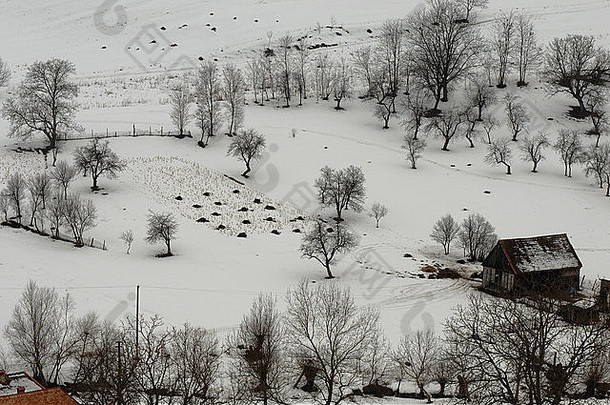 冬天天农村特兰西瓦尼亚罗马尼亚