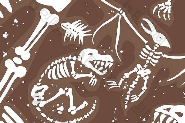 恐龙化石骨头