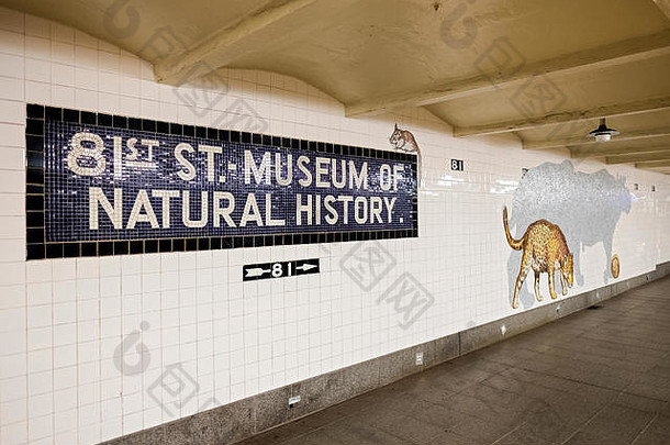 公共艺术显示博物馆自然历史停止地铁行上西一边曼哈顿纽约城市