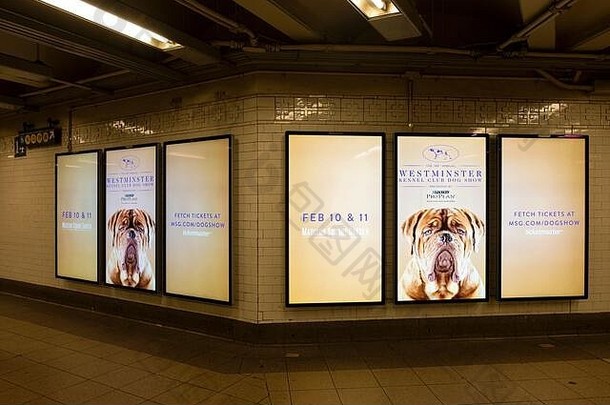 科技电子广告西敏寺养犬俱乐部狗显示联盟广场街地铁站曼哈顿纽约