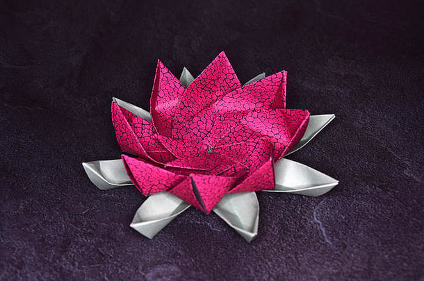 粉红色的折纸莲花花重奏》工艺品纸艺术变形石头背灌