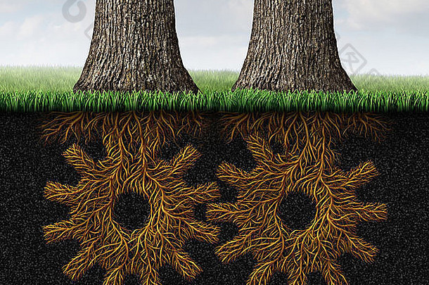 深伙伴关系业务概念金融合作象征日益增长的树地下根形状的齿轮齿轮轮子连接工作的关系网络