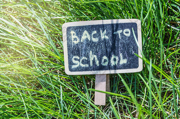 阳光瀑布绿色草黑色的董事会登记回来学校概念教育培训老师的一天