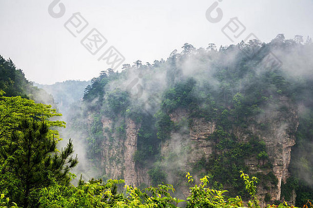 有雾的陡峭的山山峰张家界国家公园中国