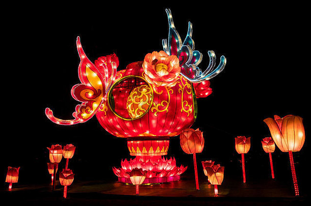 照亮郁金香周围中国人灯笼魔法灯笼节日西斯房子1月