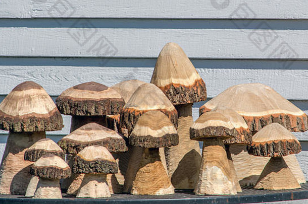 可爱的雕刻木蘑菇使链完美的户外花园