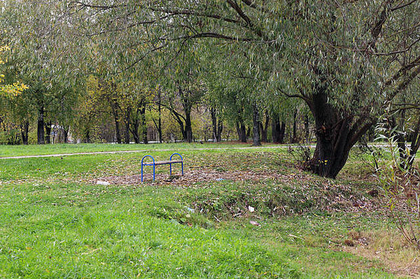 公园景观孤独的树