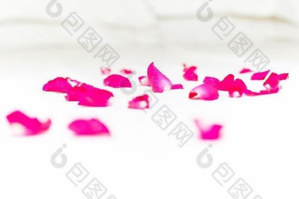粉红色的玫瑰花瓣白色床上表度蜜月概念