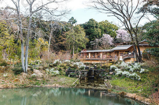 茶房子伏见inari-taisha神社《京都议定书》日本