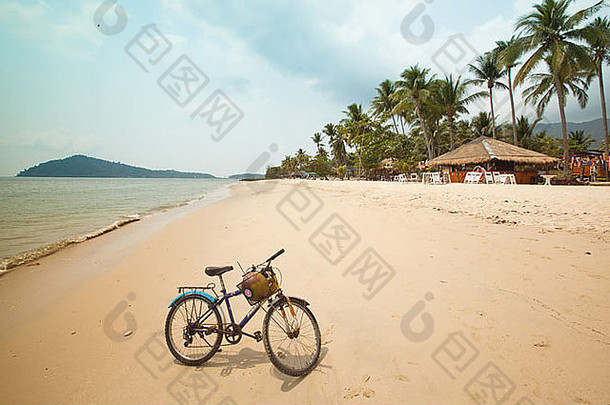 自行车热带海滩
