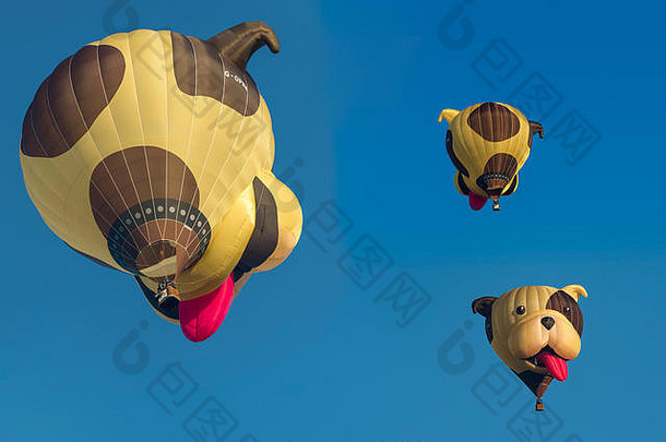 阿恩斯贝格北莱茵威斯特法利亚germany-august热空气气球特殊的形状狗的头图片沃斯坦纳国际