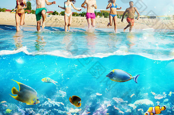 集团朋友运行海色彩斑斓的鱼概念夏季