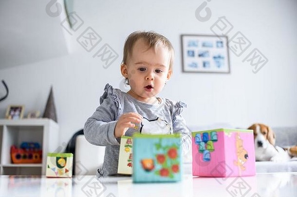 甜蜜的婴儿玩教育玩具婴儿发展