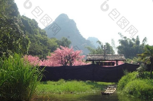 樱桃花朵前面山桂林中国