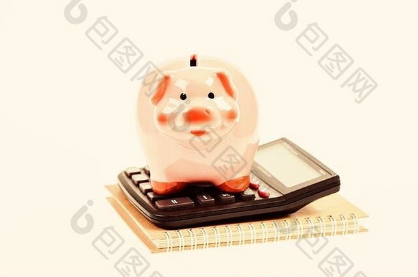 会计软件财务状况投资小猪银行粉红色的猪计算器会计家庭预算会计业务小猪银行象征钱储蓄服务会计