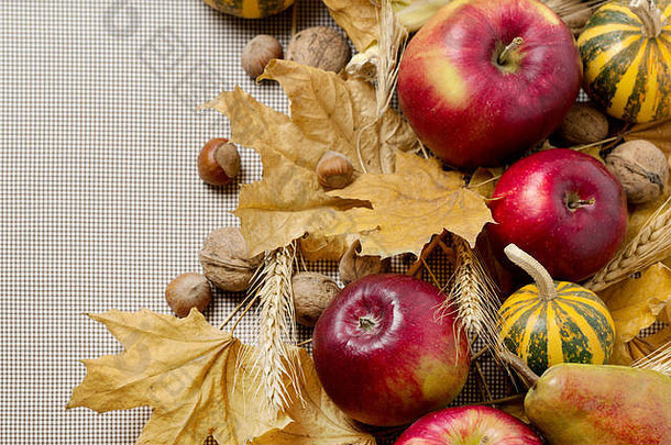 秋天假期感恩节生活南瓜苹果梨坚果视锥细胞叶子