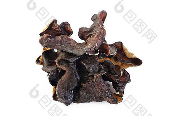 干黑色的真菌犹太人的耳朵蘑菇白色背景