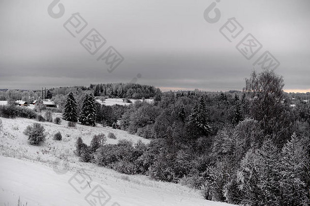 1月拉脱维亚国家一边温度<strong>树</strong>涂层霜