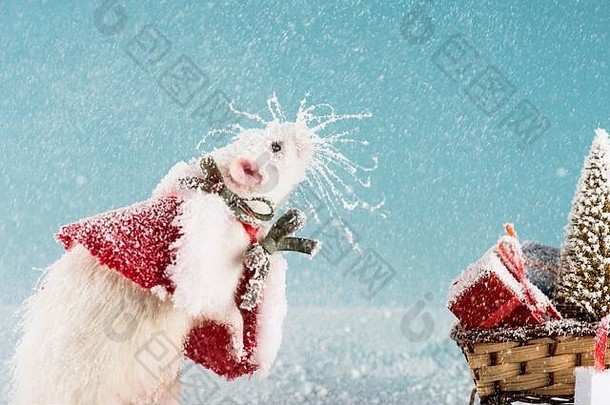 老鼠服装柳条雪橇圣诞节树礼物盒子一年
