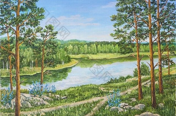 绿色森林河阳光明媚的一天景观松桦木树石头绿色草海岸河俄罗斯原始石油绘画