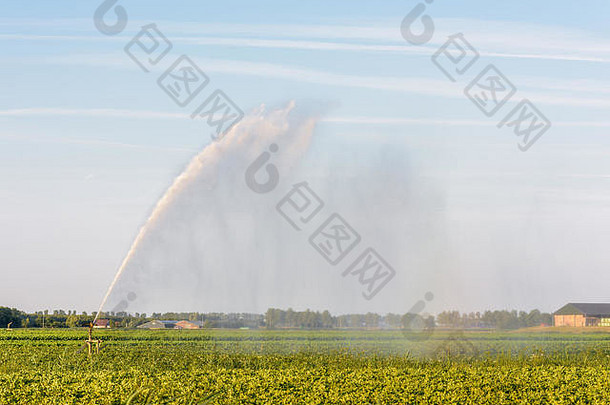 喷水灭火系统喷涂农田荷兰期极端的干旱夏天