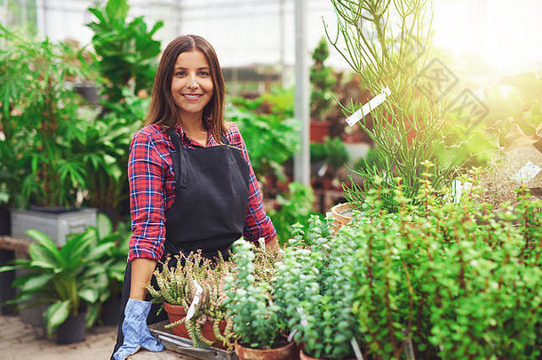 微笑年轻的女园艺师工作温室托儿所站表格显示盆栽植物微笑