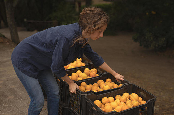 女人提升箱填满橙子