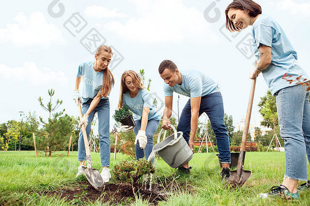 志愿服务年轻的人志愿者在户外种植树倒水地面微笑快乐的