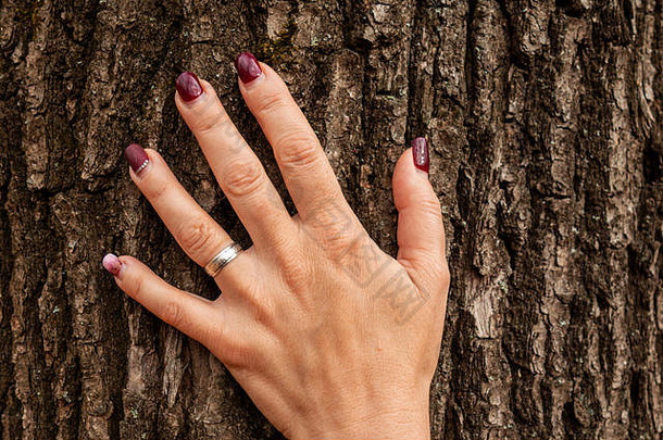 女人手树树干概念保存环境团结自然特写镜头图像棕榈触碰树皮生态活跃的生活方式