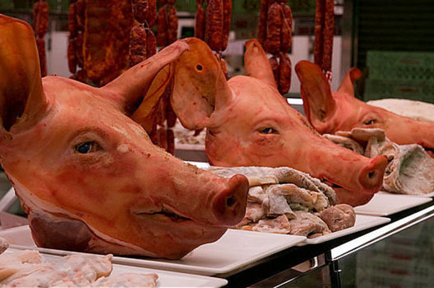 猪头出售每天肉市场