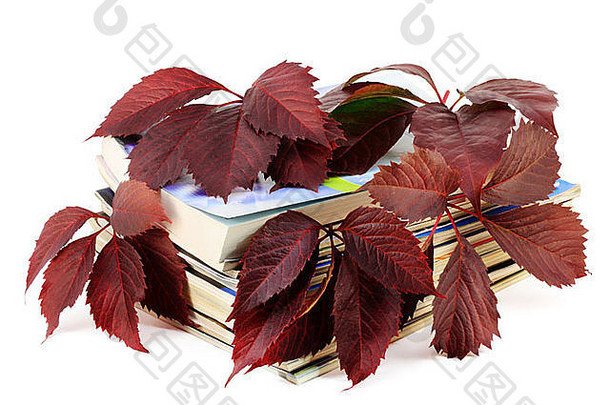 书杂志红色的秋天葡萄叶子孤立的白色