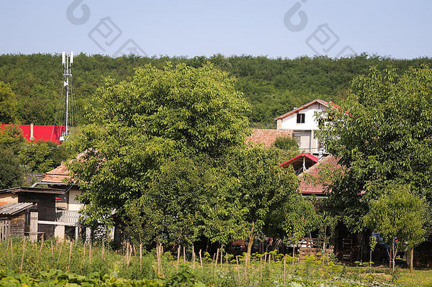 天线村房子重植被农村罗马尼亚